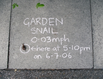 amazingness snail