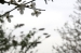 Kent Wildlife Trust - Stone